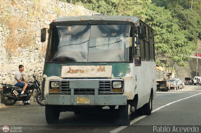 DC - Tigres de Plan de Manzano 012 por Pablo Acevedo