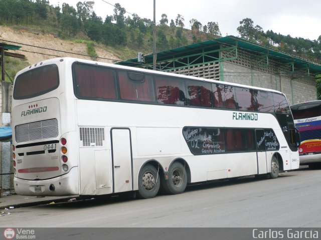 Expresos Flamingo 0441 por Carlos Garc�a