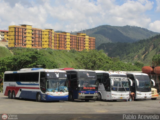 Garajes Paradas y Terminales Caracas por Pablo Acevedo