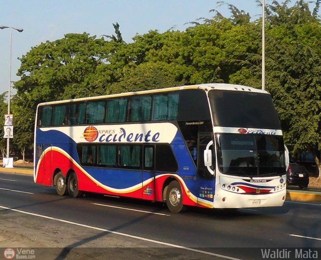 Expresos Occidente 249 por Waldir Mata