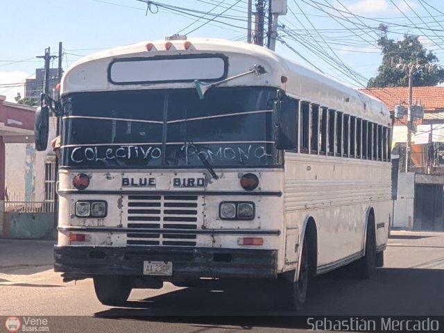 ZU - Colectivo Pomona 34 por Sebastin Mercado