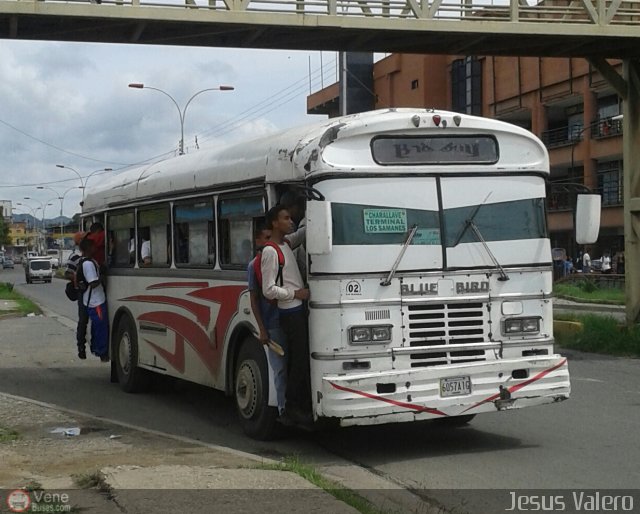 A.C. de Transporte La Raiza 002 por Jess Valero