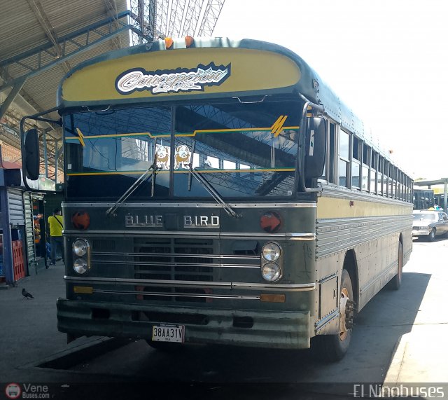 ZU - Colectivos Concepci�n 104 por �ngel Delgado