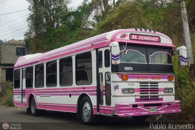 TA - Unión Transporte El Corozo S.A. 35 por Pablo Acevedo