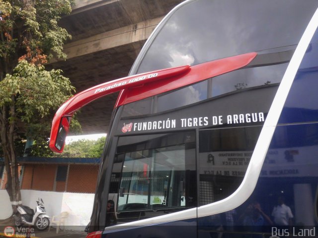 Tigres de Aragua B.B.C. 01 por Waldir Mata