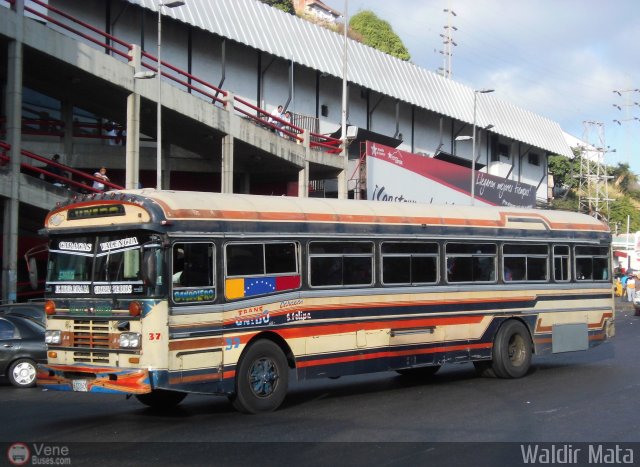 Transporte Unido 037 por Waldir Mata