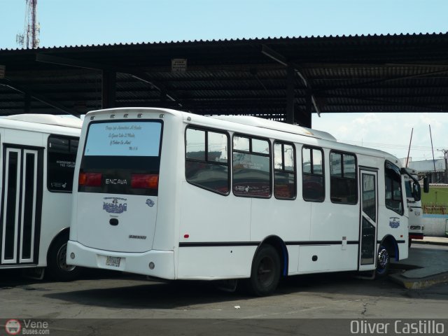 S.C. Expresos Mara 043 por Oliver Castillo