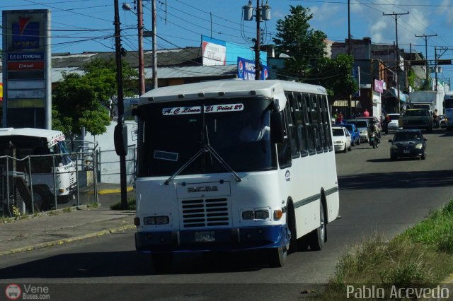 Lnea El Pial A.C. 29 por Pablo Acevedo