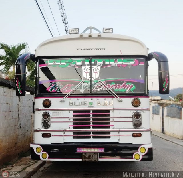 Expresos Nirgua 0115 por Eduard Delgado