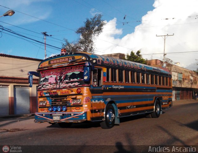 Transporte Guacara 0096 por Andrs Ascanio