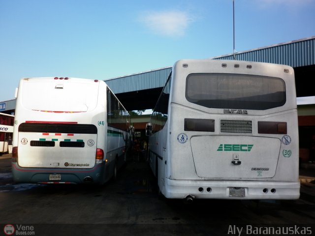 Garajes Paradas y Terminales Maracay por Aly Baranauskas