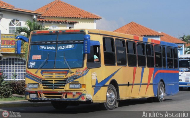 A.C. Unin Palo Negro 004 por Andrs Ascanio
