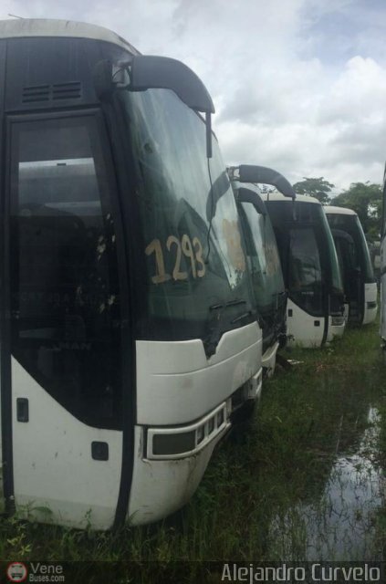 En Chiveras Abandonados Recuperacin AC007 por Alejandro Curvelo