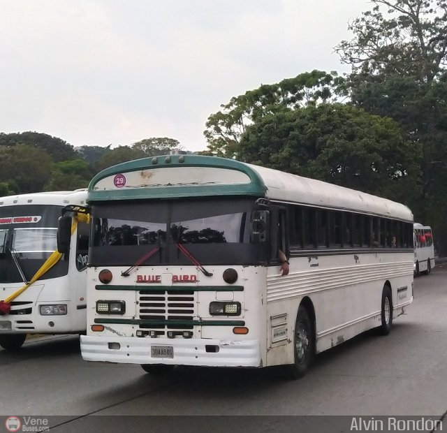 A.C. Boquer�n Express 29 por Alvin Rond�n