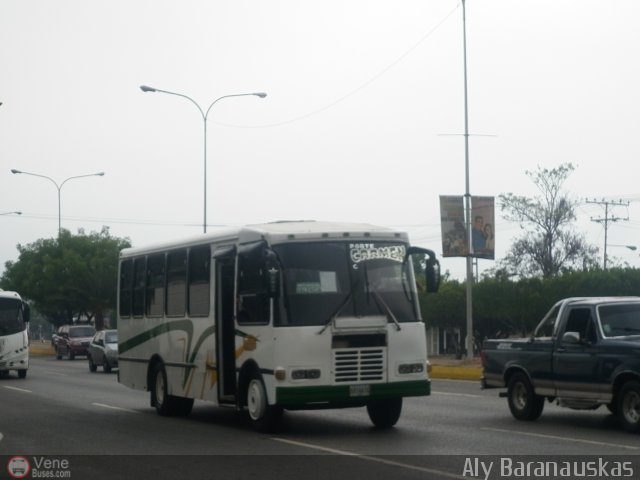 Transporte Virgen del Carmen 23 por Aly Baranauskas