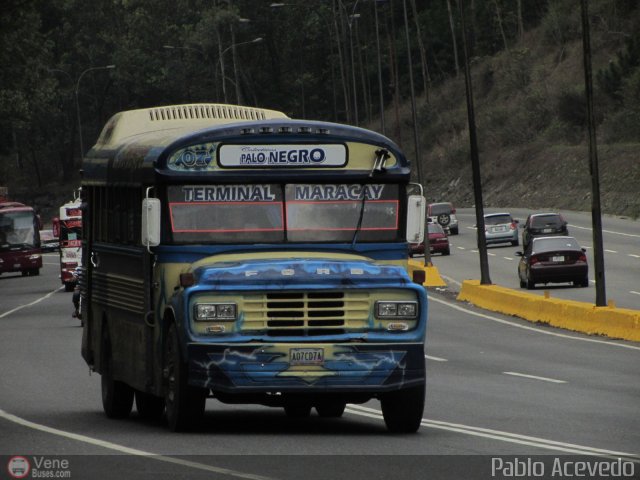 Transporte Colectivo Palo Negro 007 por Pablo Acevedo