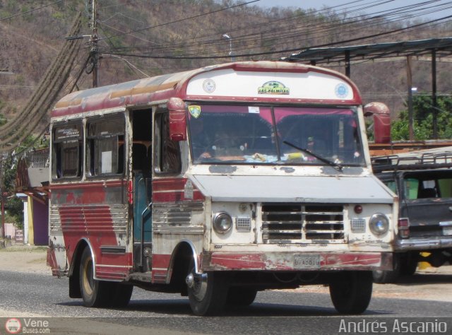 CA - Unipal Las Palmitas Asociaci�n Civil 113 por Andr�s Ascanio