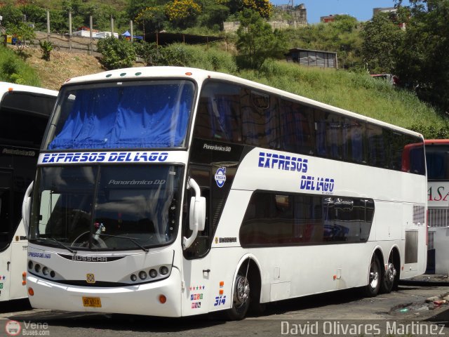 Expresos Del Lago 314 por David Olivares Martinez