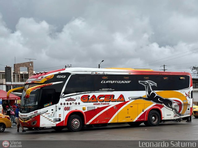 Tax Gacela 001 por Leonardo Saturno