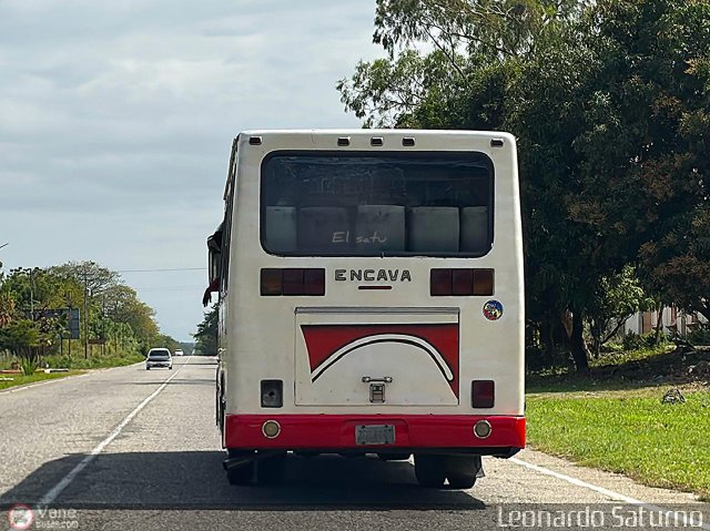 Particular o Desconocido 04 por Leonardo Saturno