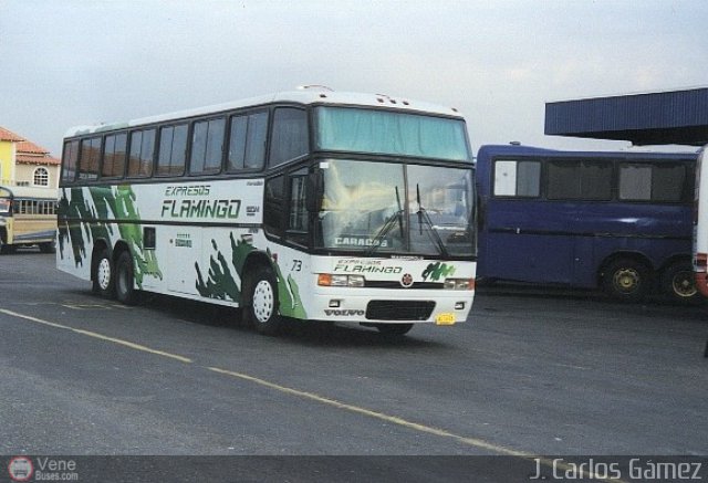 Expresos Flamingo 73 por J. Carlos G�mez