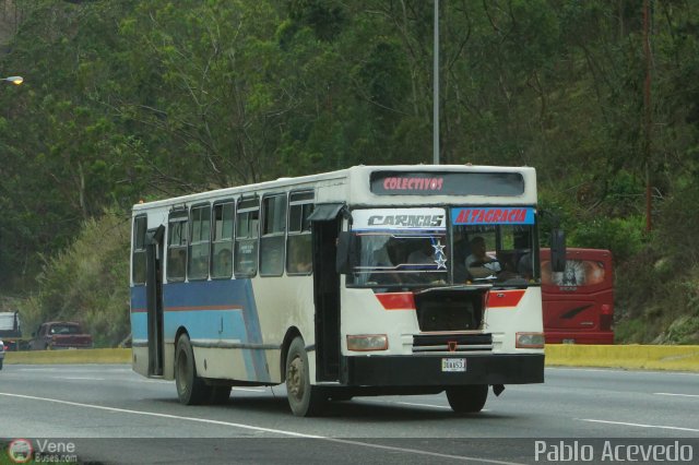 Colectivos Altagracia 95 por Pablo Acevedo