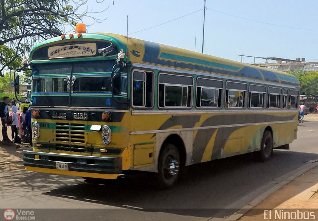 ZU - Colectivos Concepcin 052-LP por ngel Delgado