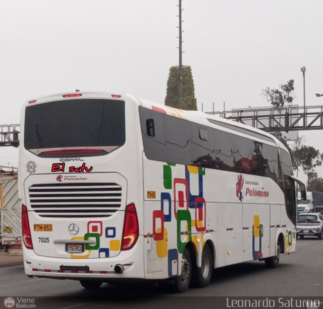 Expreso Internacional Palomino 7025 por Leonardo Saturno