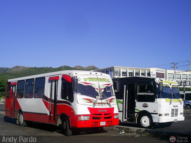 CA - Asociaci�n Coop. El Trigal R.L. 76 por Andy Pardo