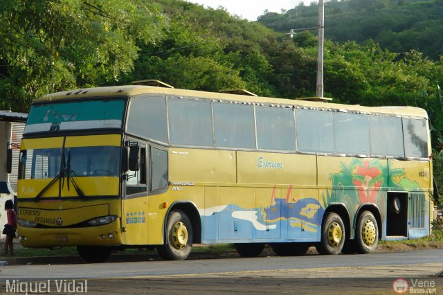 Expresos Pegamar 1038 por Miguel Vidal