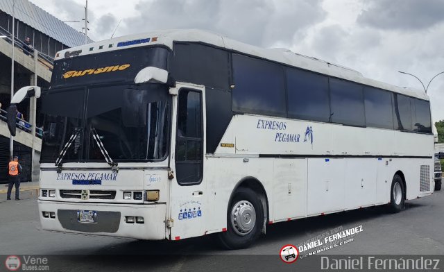 Expresos Pegamar 1022 por Daniel Fern�ndez