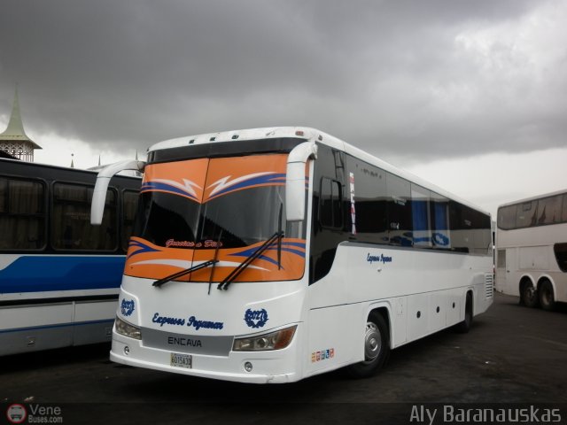 Expresos Pegamar 2027 por Aly Baranauskas