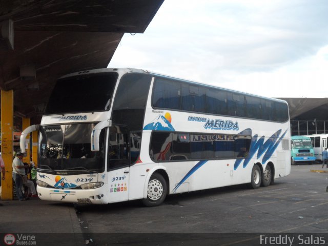 Expresos M�rida 0239 por Freddy Salas