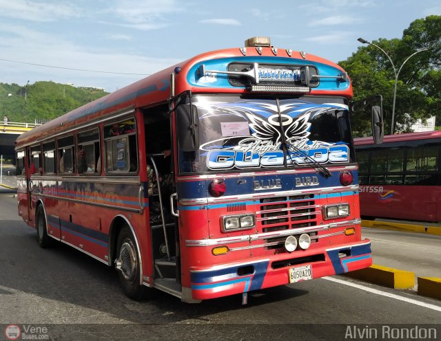 Transporte Palo Negro La Morita 2 113 por Alvin Rondn