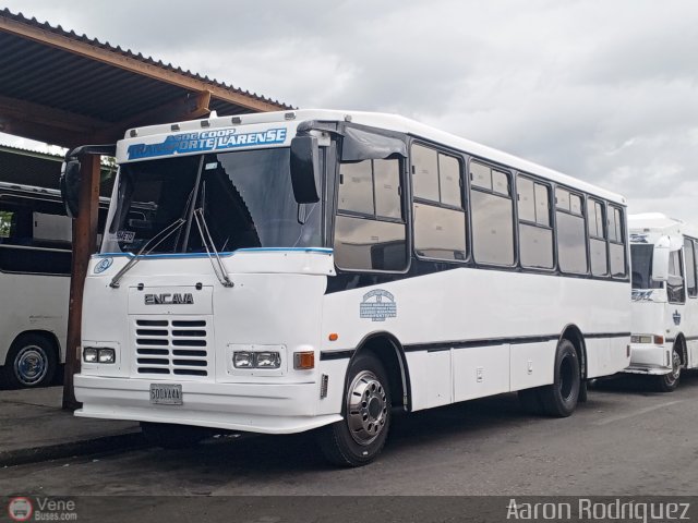 A.C. de Transporte Larense 04 por Aaron Rodr�guez