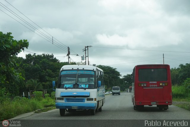 A.C. Lnea San Ramn 33 por Pablo Acevedo