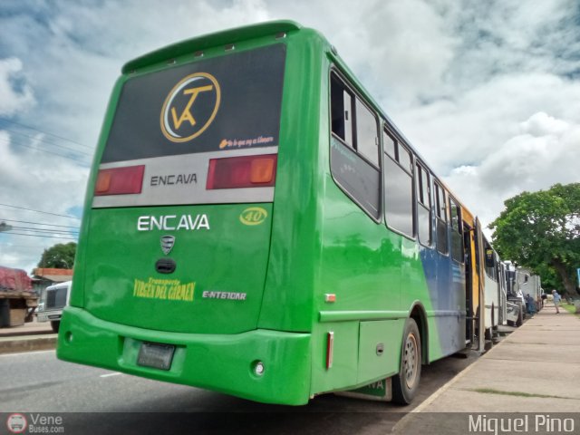 Transporte Virgen del Carmen 40 por Miguel Pino