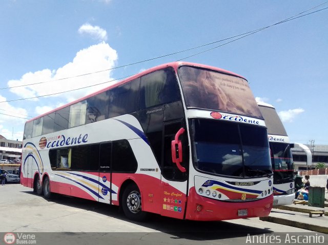Expresos Occidente 437 por Andr�s Ascanio