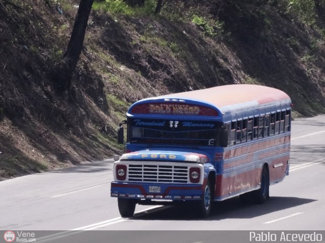 Transporte Colectivo Palo Negro 95 por Pablo Acevedo