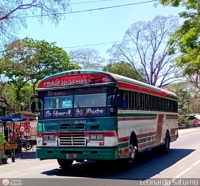 Autobuses de Tinaquillo 16 por Leonardo Saturno