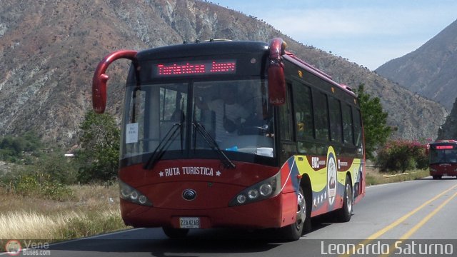 Uso Oficial 22 por Leonardo Saturno