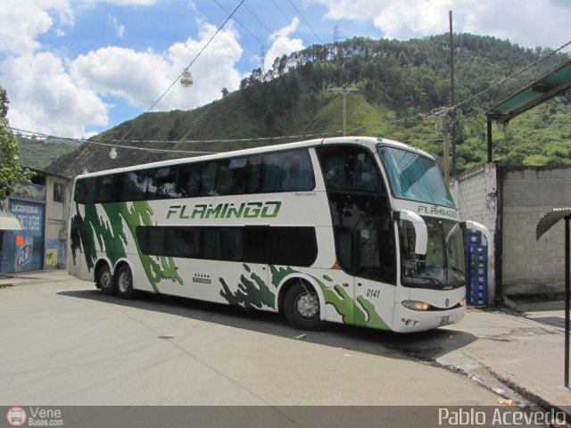 Expresos Flamingo 0141 por Pablo Acevedo