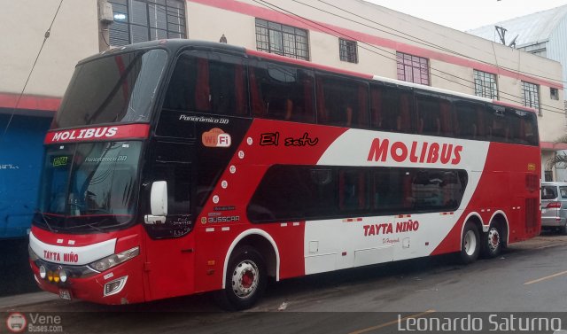 Transportes y Servicios Molibus 952 por Leonardo Saturno