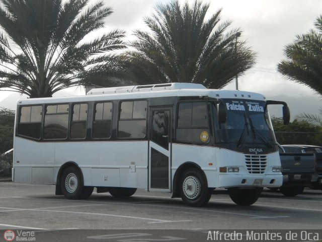 U.C. Falcón Zulia 00 por Alfredo Montes de Oca