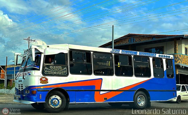 L�neas de Los Andes 006 por Leonardo Saturno