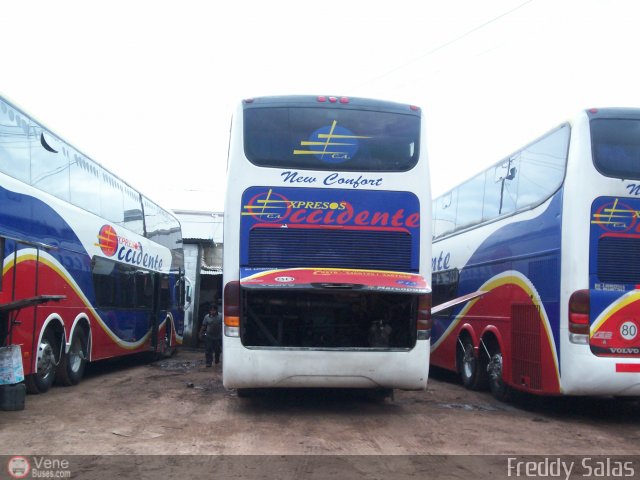 Expresos Occidente 215 por Freddy Salas