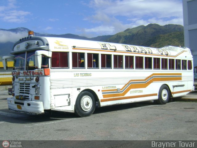 Colectivos Guayas S.A. 040 por Royner Tovar