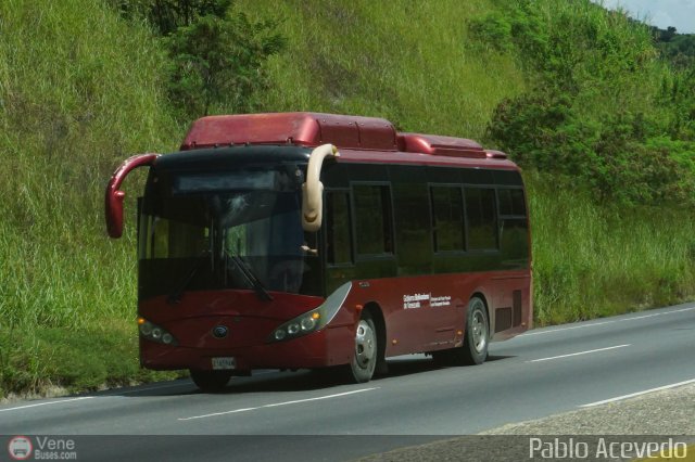 Particular o Desconocido 21A por Pablo Acevedo