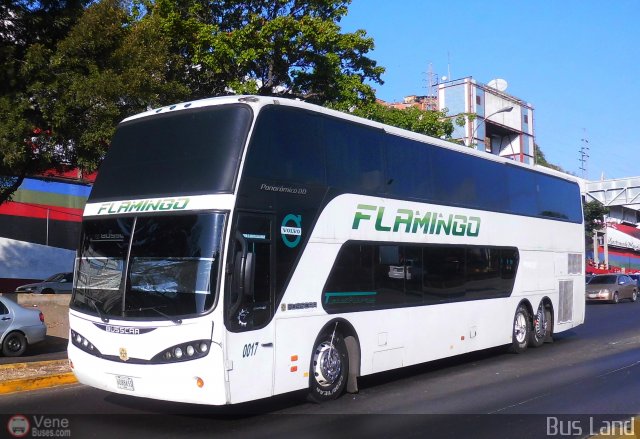 Expresos Flamingo 0017 por Waldir Mata