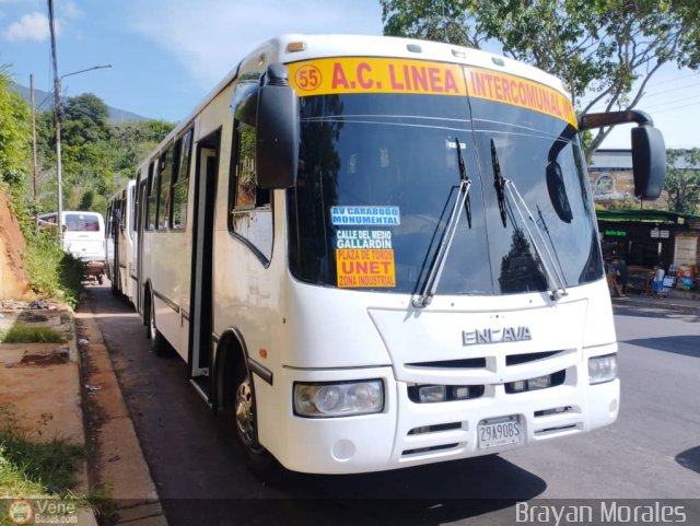 TA - A.C. L�nea Intercomunal 55 por Jerson Nova